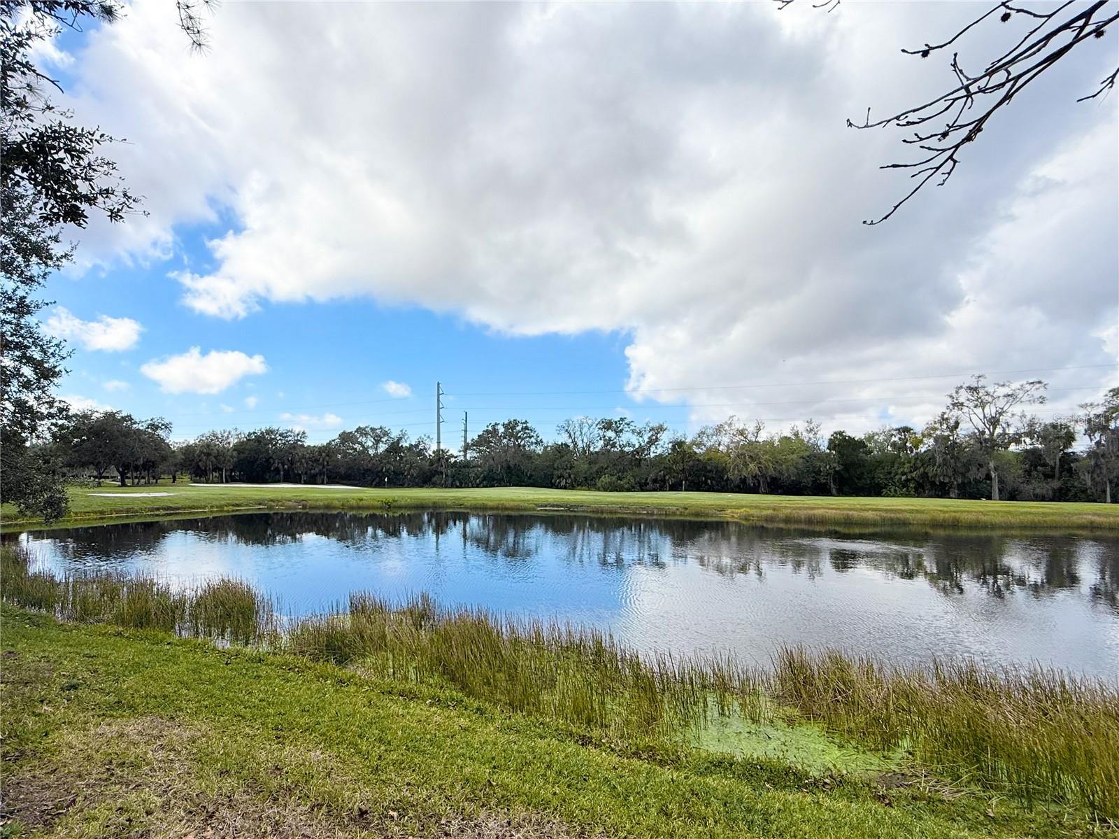 GRAND OAK AT TARA - Residential