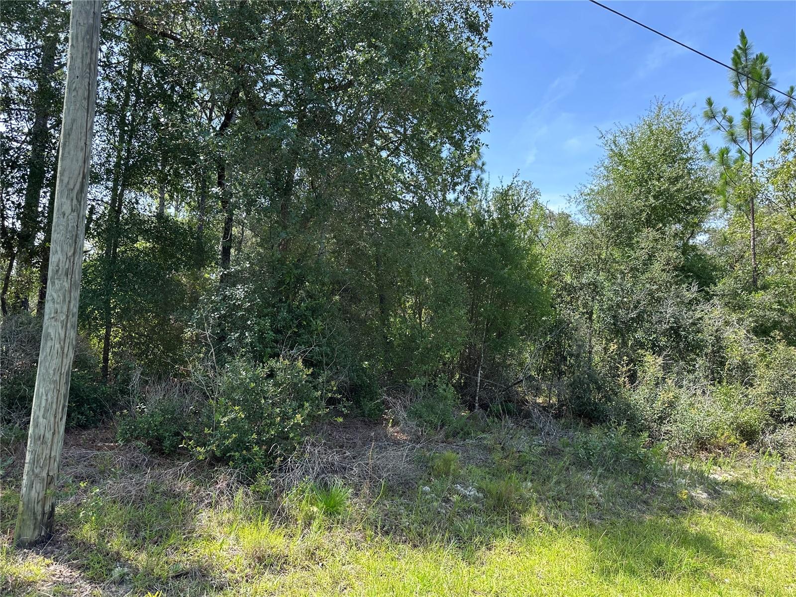 Great lot in Citrus Springs. .23 acre lot. Thinking about building a new home. This lot just might be the one for you. Go take a look before it is gone.