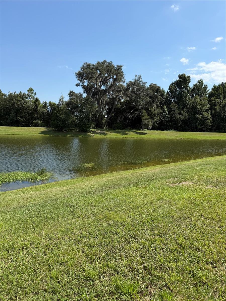 Photo of 36101 Stable Wilk Avenue, Zephyrhills, FL 33541 (MLS # TB8517987)