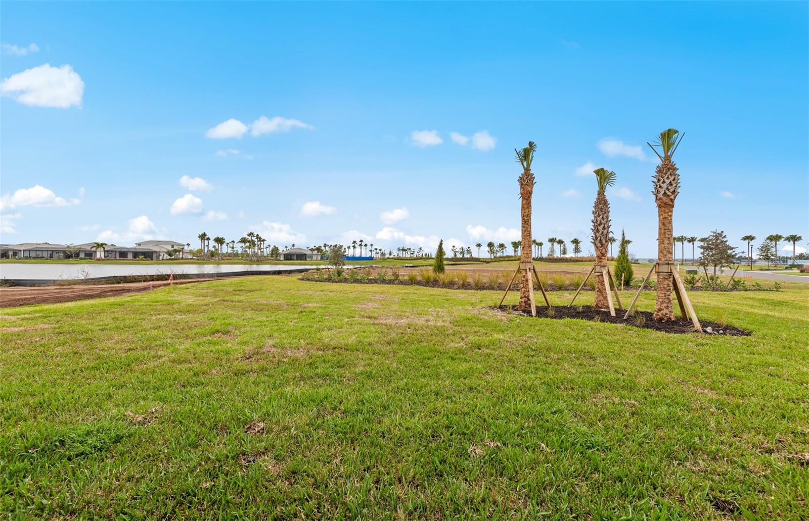 4632; DEL WEBB CATALINA AT LAKEWOOD RANCH - Residential