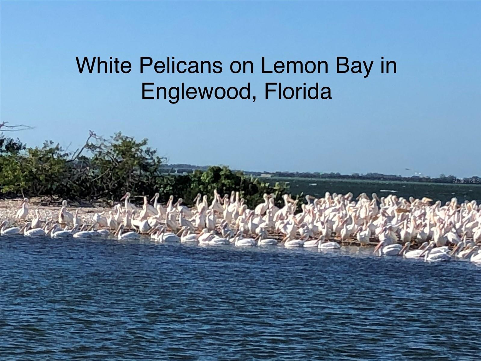 BOCA ROYALE - Residential