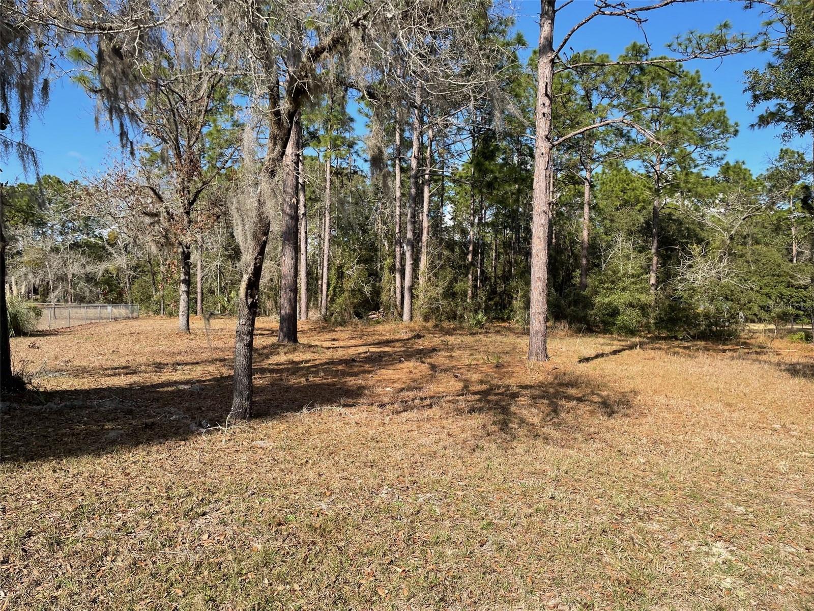 BUILD YOUR DREAM HOME (No Mobile Homes) PARTIALLY CLEARED AND WOODED LOT ALMOST 1 ACRE (0.99 Acres). NO HOA OR TIME LIMIT TO BUILD. NEAR ELECTRIC. PAVED STREET. RAINBOW LAKES ESTATES HAS 2 PLAYGROUNDS, BONABLE LAKE WITH A FISHING PIER AND TIGER LAKE WITH A BOAT RAMP, EXERCISE ROOM, COMMUNITY CENTER, AND TENNIS AND BASKETBALL COURT. CONVENIENT TO DOWNTOWN DUNNELLON, GREAT FOR ANTIQUE SHOPS, RESTAURANTS, SHOPPING, OCALA, CRYSTAL RIVER, GULF OF MEXICO, GAINESVILLE AND THE CRYSTAL-CLEAR WATERS OF RAINBOW SPRINGS STATE PARK WHERE YOU CAN ENJOY SWIMMING, KAYAKING, CANOEING, SNORKELING, TUBING AND PICNICING.