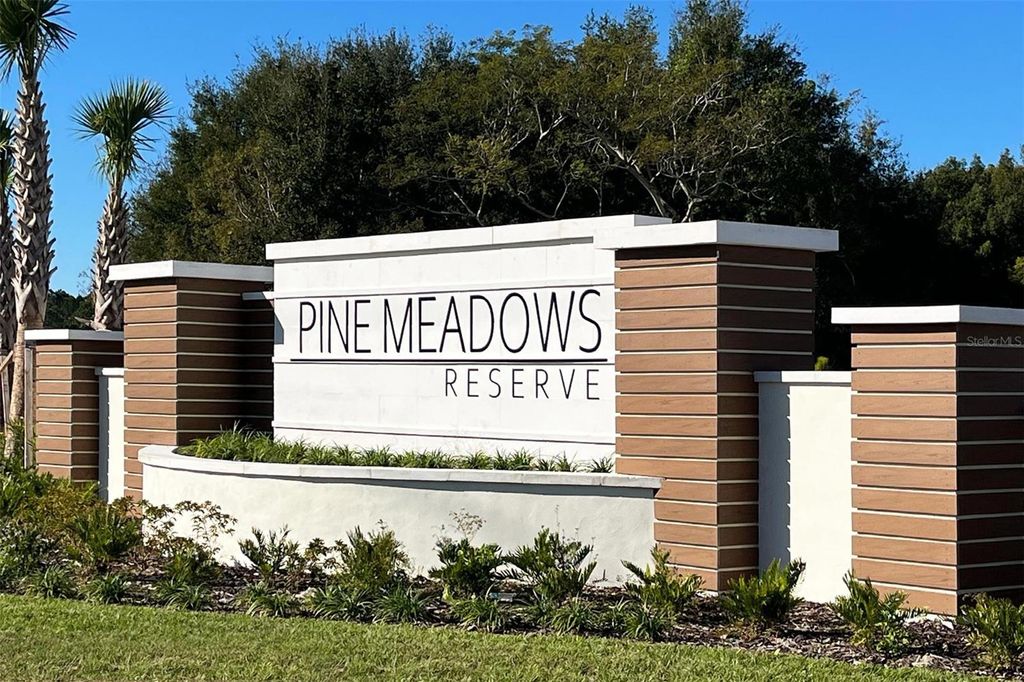 Photo of 2042 Town Pasture Drive, Eustis, FL 32726 (MLS # O6355304)