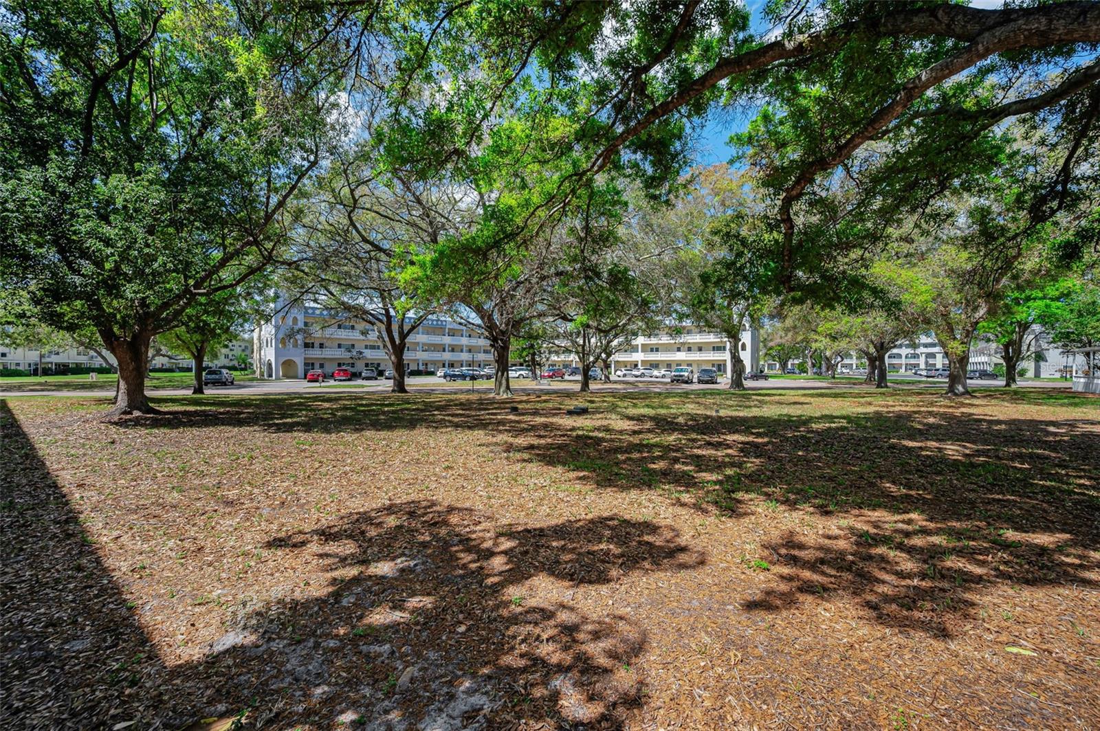 ON TOP OF THE WORLD - Residential