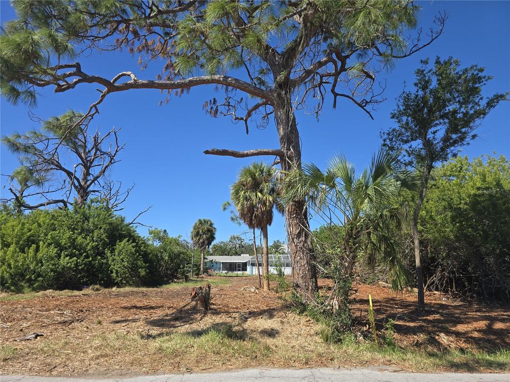 Photo of 6313 Oelsner Street, New Port Richey, FL 34652 (MLS # W7868290)