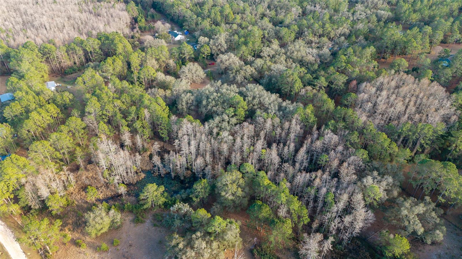 CYPRESS COVE - Residential