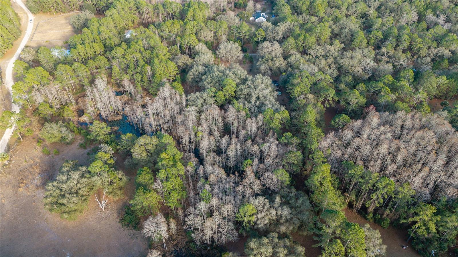 CYPRESS COVE - Residential