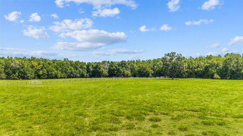 Tiny photo for Tbd SE 35th Street, Morriston, FL 32668 (MLS # OM713980)