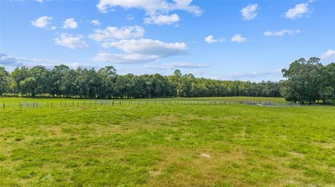 Tiny photo for Tbd SE 35th Street, Morriston, FL 32668 (MLS # OM713980)