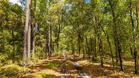 Tiny photo for Tbd SE 35th Street, Morriston, FL 32668 (MLS # OM713980)