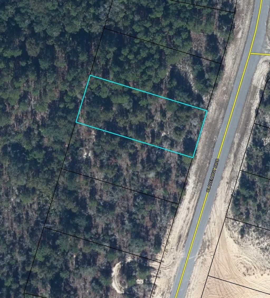 Photo of Tbd Claremont Boulevard, Chipley, FL 32428 (MLS # TB8456059)