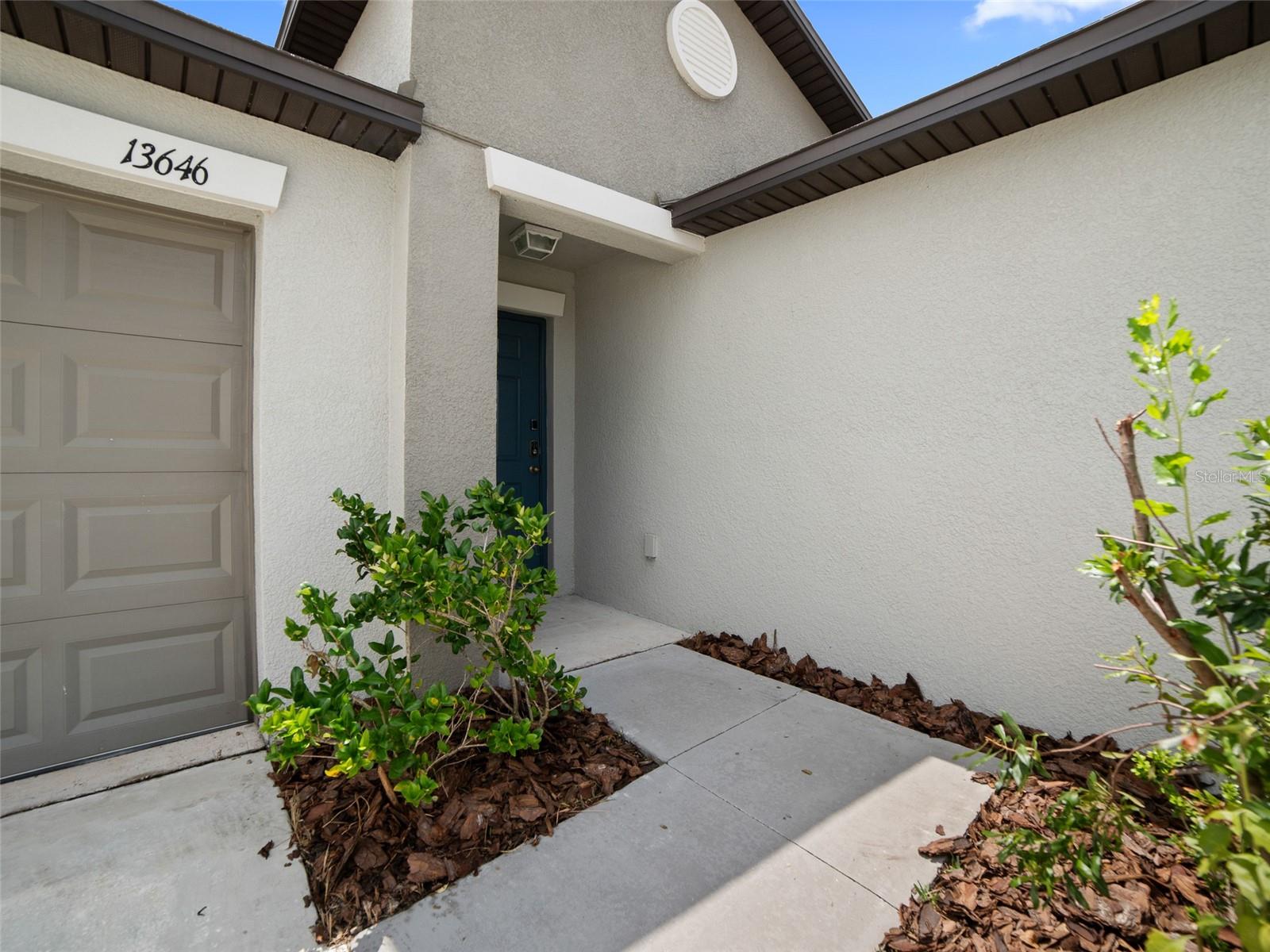 13646 WILD GINGER STREET