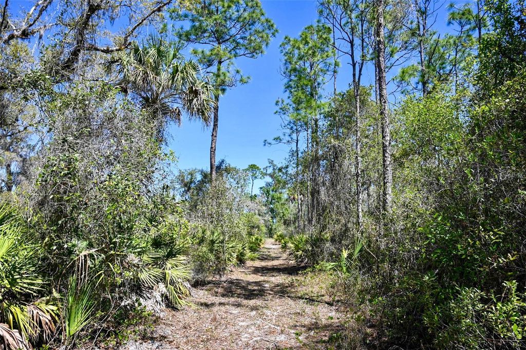 Photo of 3832 SW Wildcat Run Road, Arcadia, FL 34266 (MLS # C7524028)