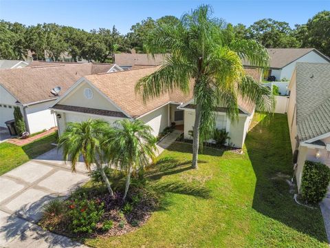 A home in TAMPA