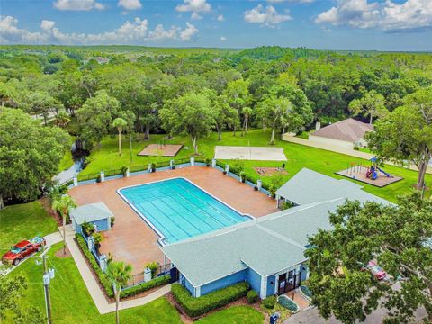 A home in TAMPA