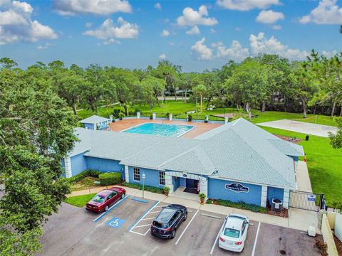 A home in TAMPA