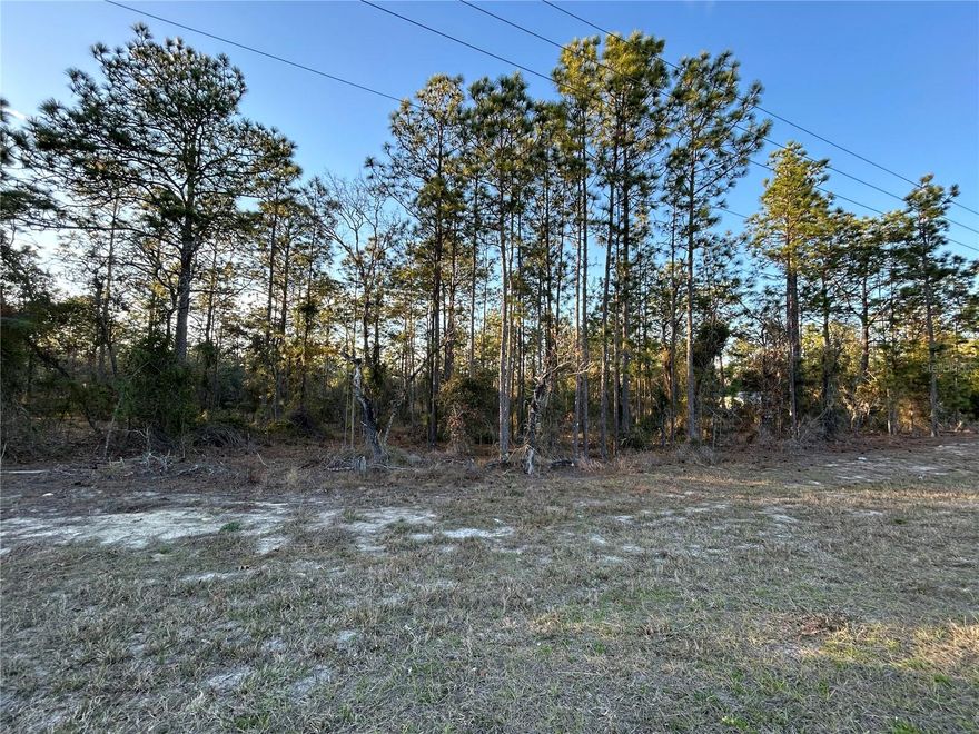 .46 ACRE LOT WITH PAVED ROAD FRONTAGE!  This wooded parcel is ready for you to develop and make it your own.  Site built or manufactured homes okay.  No deed restrictions and no HOA!  Just a few miles south of Williston City limits and very convenient to Ocala and Gainesville for work or play.  Near u-pick farms, scuba diving, hiking, kayaking, hunting and more.  Enough room for your home and nice yard for a garden, shop or garage or whatever your hearts desire is.  Check it out and join us for pure country living!