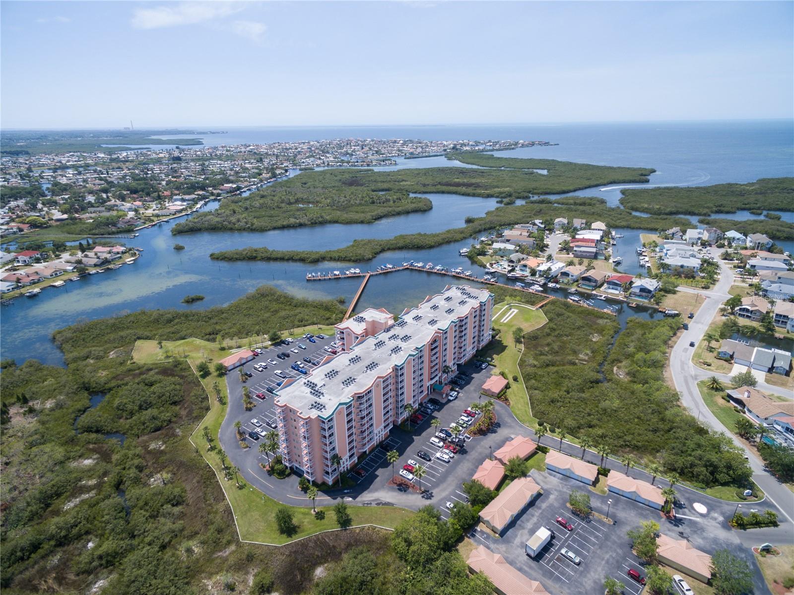 unfurnished 1287 Sq Ft Unit, brand new appliances - be the first to use. only Refrigerator 2 yrs old - 2 bedroom, 2 Bath condo. Tiled throughout. wood Cabinets w/ Granite Counters in Kitchen. Two walk- in Closets -offers Two(2)Private Balconies (Master BR & LR). Unit has an Assigned Storage Space. Unit has all Window Treatments, Building is SECURED! Amenities include ON-SITE Management & Security, Beautiful Landscaping, Heated Pool & Jacuzzi, Rooftop SUN Deck, Aerobics Room, Spa, "His and Her" Saunas, Fitness Room, Business/Conference Center w/FAX and Library. There is a huge Club Room with a serving Kitchen, 73" HDTV, Pool Table, Baby Grand Piano and access to an Open Terrace overlooking the Pool. The Robert Crown Wilderness Area adjoins the complex. Optional membership to the private Gulf Harbors Beach Club (4 miles away with cabanas and barbecue grills only $160.00/year) Boat Docks with direct gulf access can be purchased as an additional Buyer Option. Monthly maintenance fee includes: Water & Sewer, Garbage Collection, Basic Cable TV and all the amenities. Local Area has excellent Dining, Shopping, Golf and year-round activities (i.e.Boating, Fishing, Swimming and Sight Seeing).It's Florida's Sun & Nature Coasts' "Best Kept Secret" Easy access to the SunCoast Parkway & I-75.
