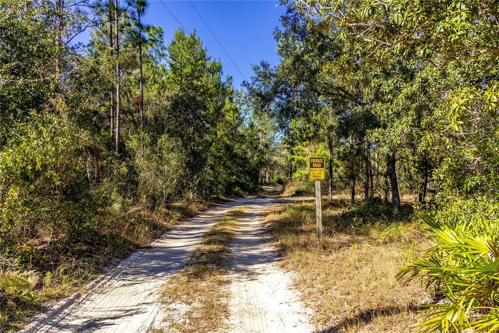 Photo of 12060 Ehrenwald Drive, Weeki Wachee, FL 34613 (MLS # W7880067)