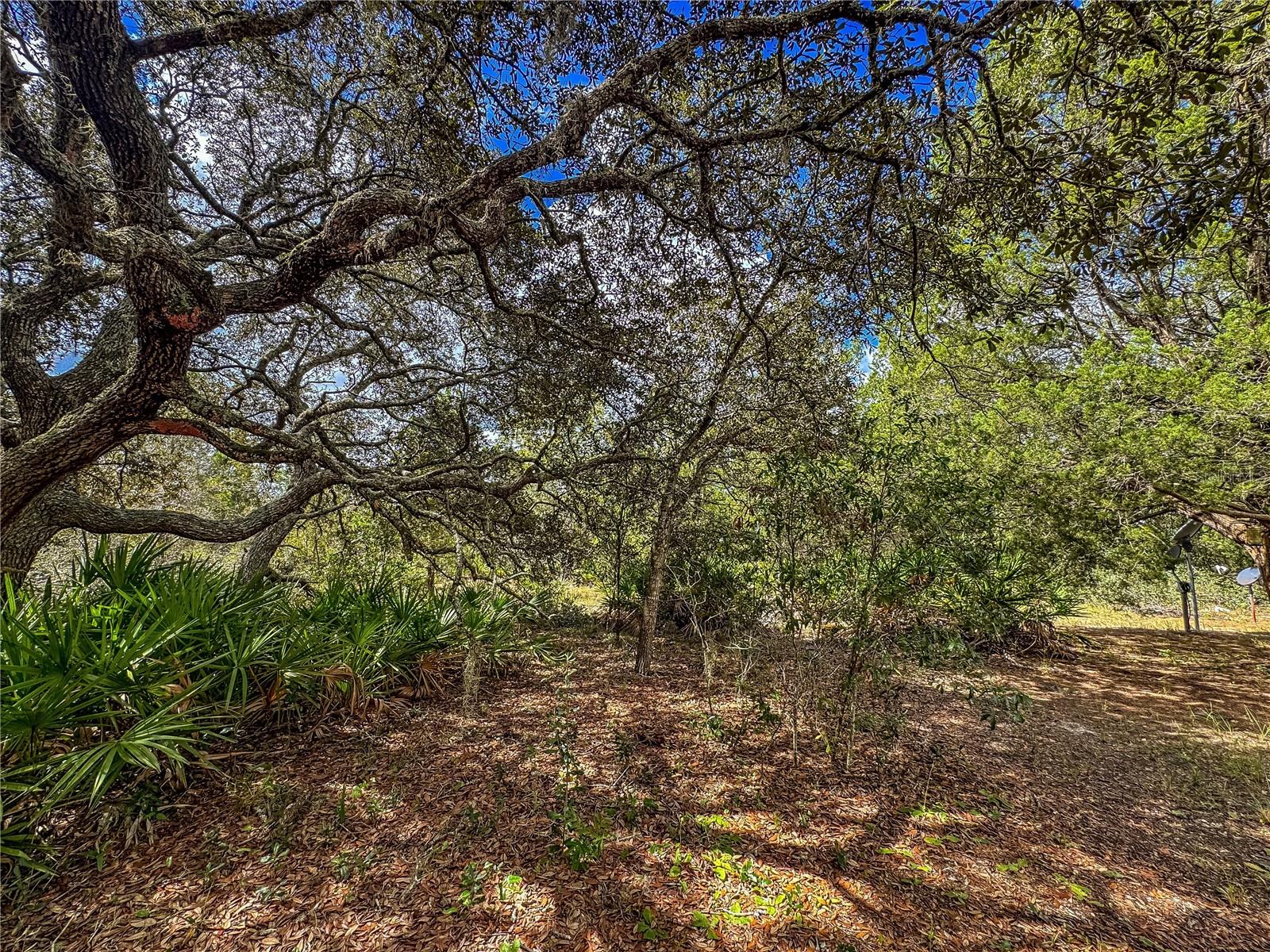 MELANIE HEIGHTS 12 13 - Residential