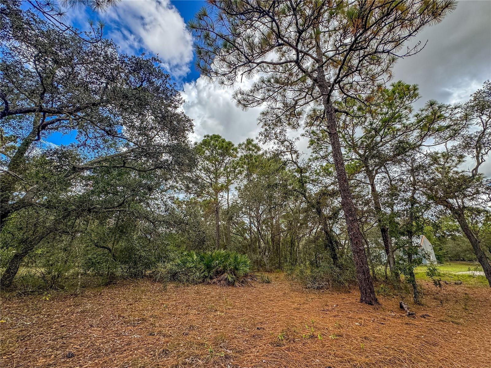 MELANIE HEIGHTS 12 13 - Residential