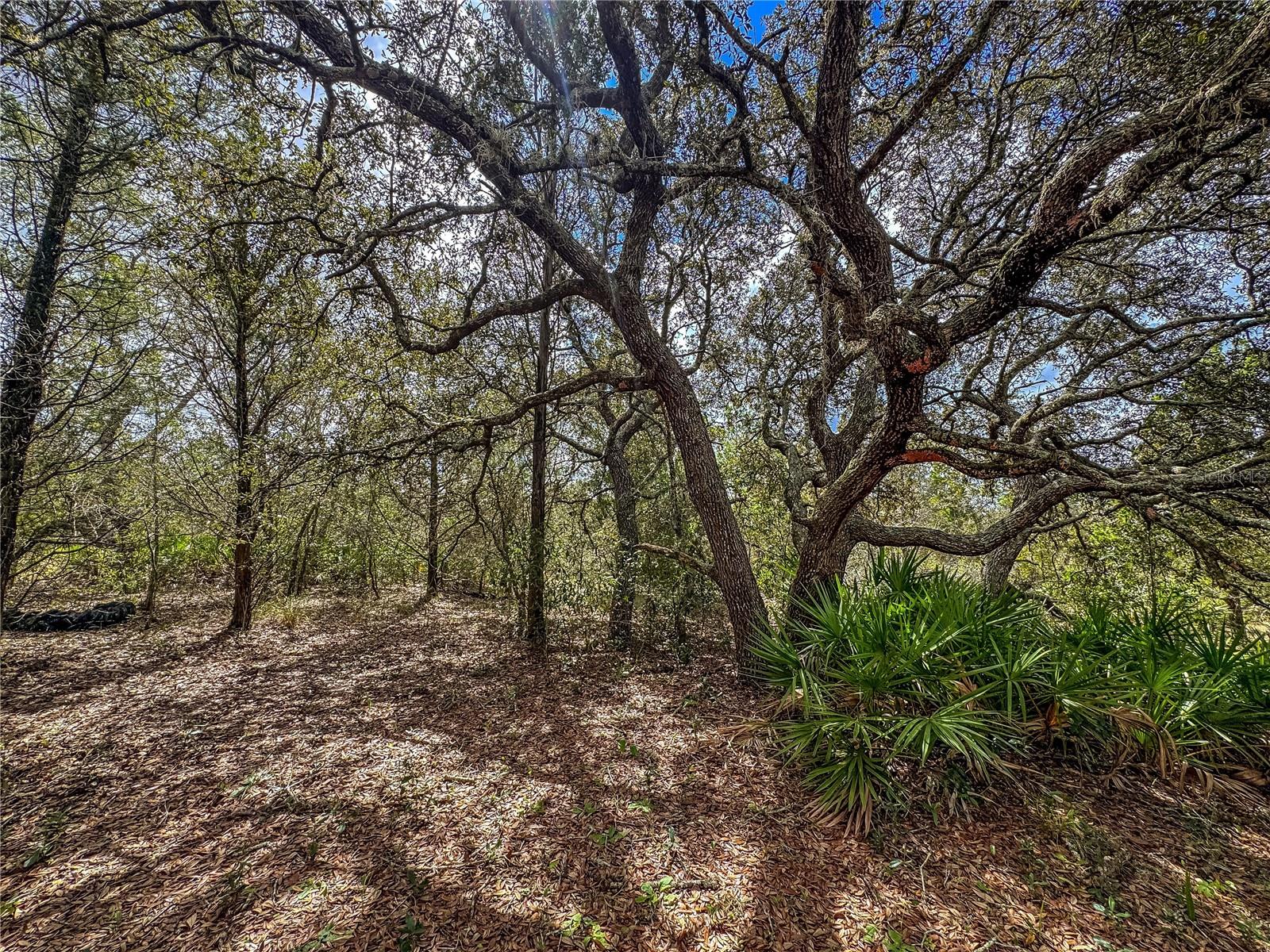 MELANIE HEIGHTS 12 13 - Residential