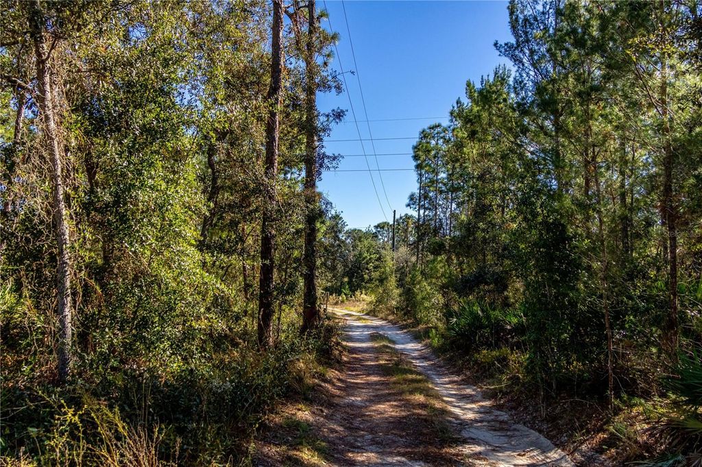 Photo of 12060 Ehrenwald Drive, Weeki Wachee, FL 34613 (MLS # W7880067)