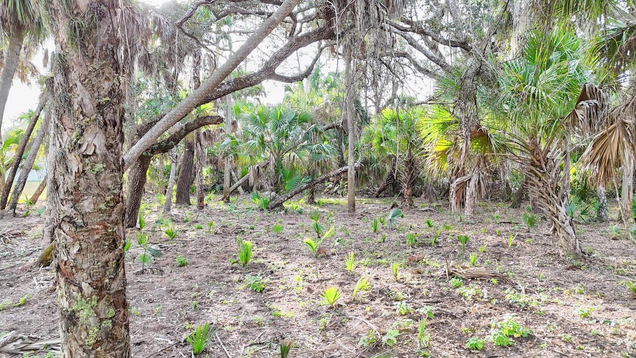 PORT CHARLOTTE SUB 24 - Residential