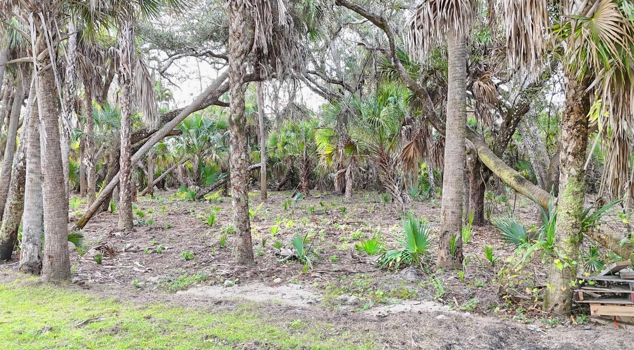 PORT CHARLOTTE SUB 24 - Residential