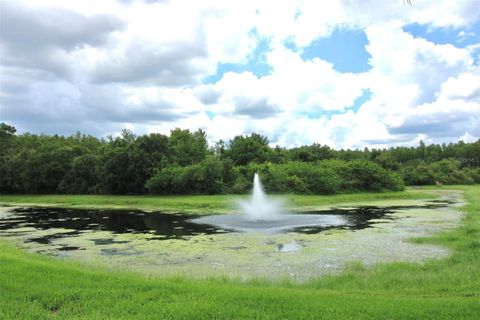 A home in TAMPA