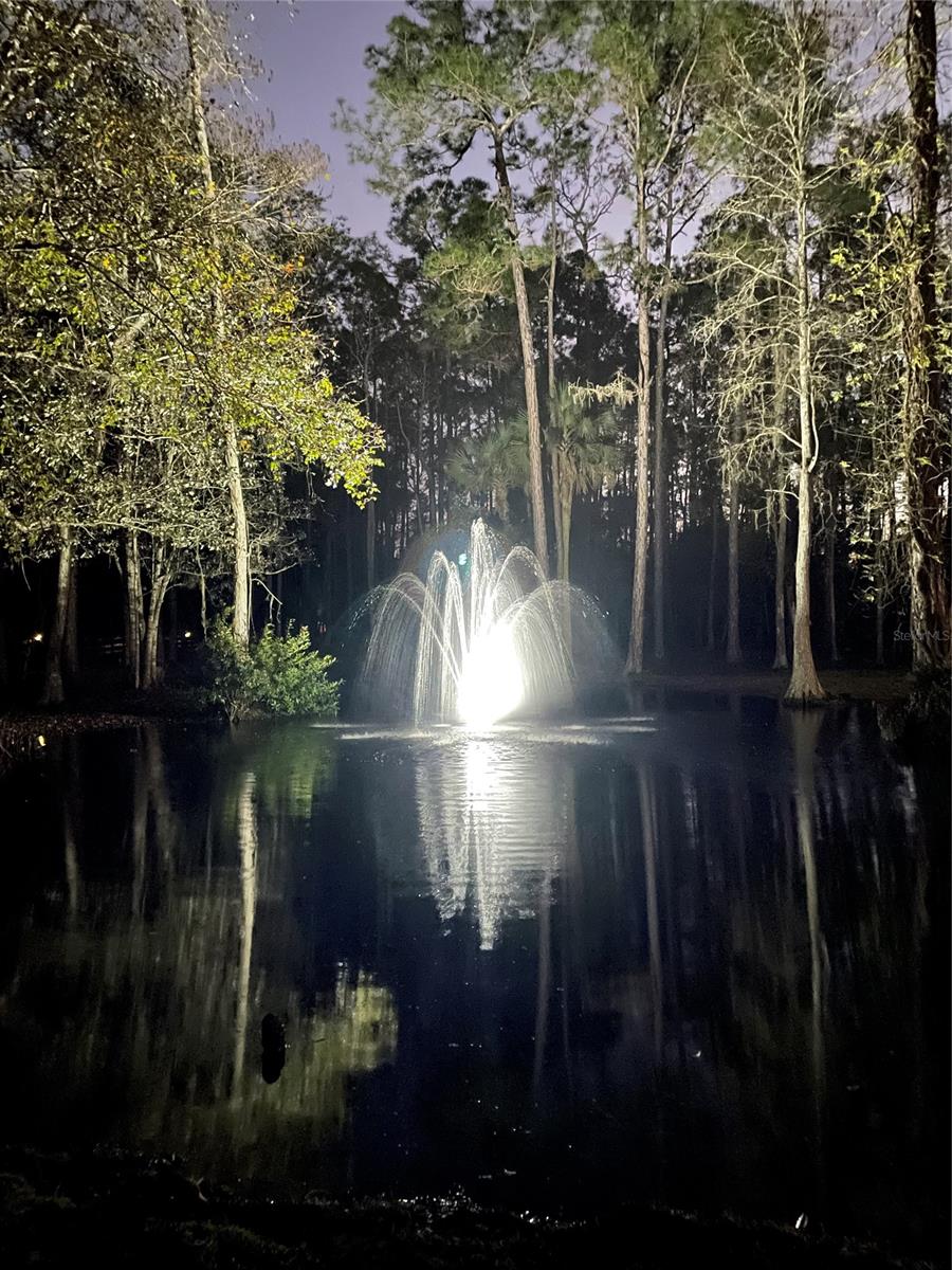 Tomoka Farms - Residential