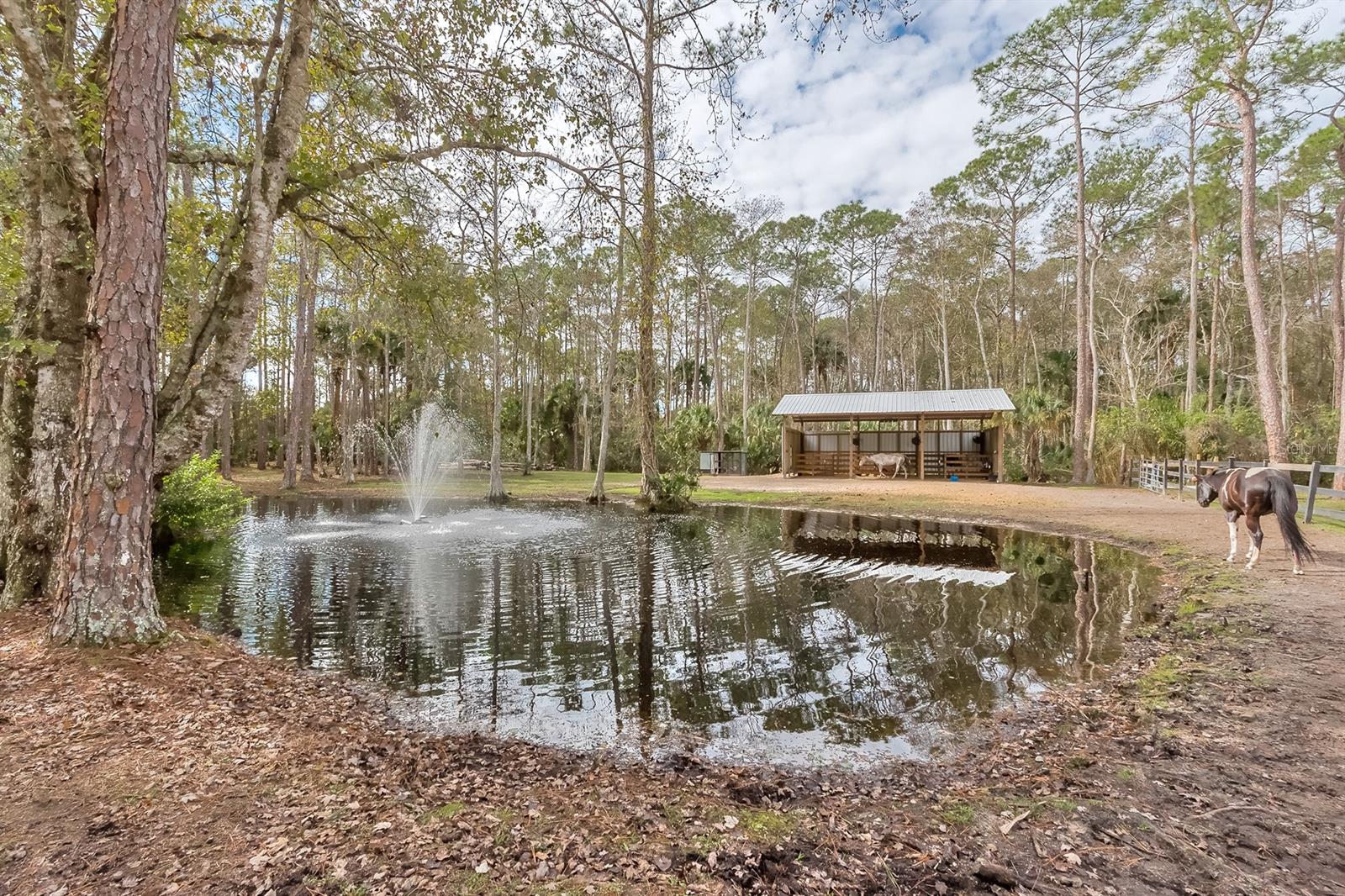 Tomoka Farms - Residential