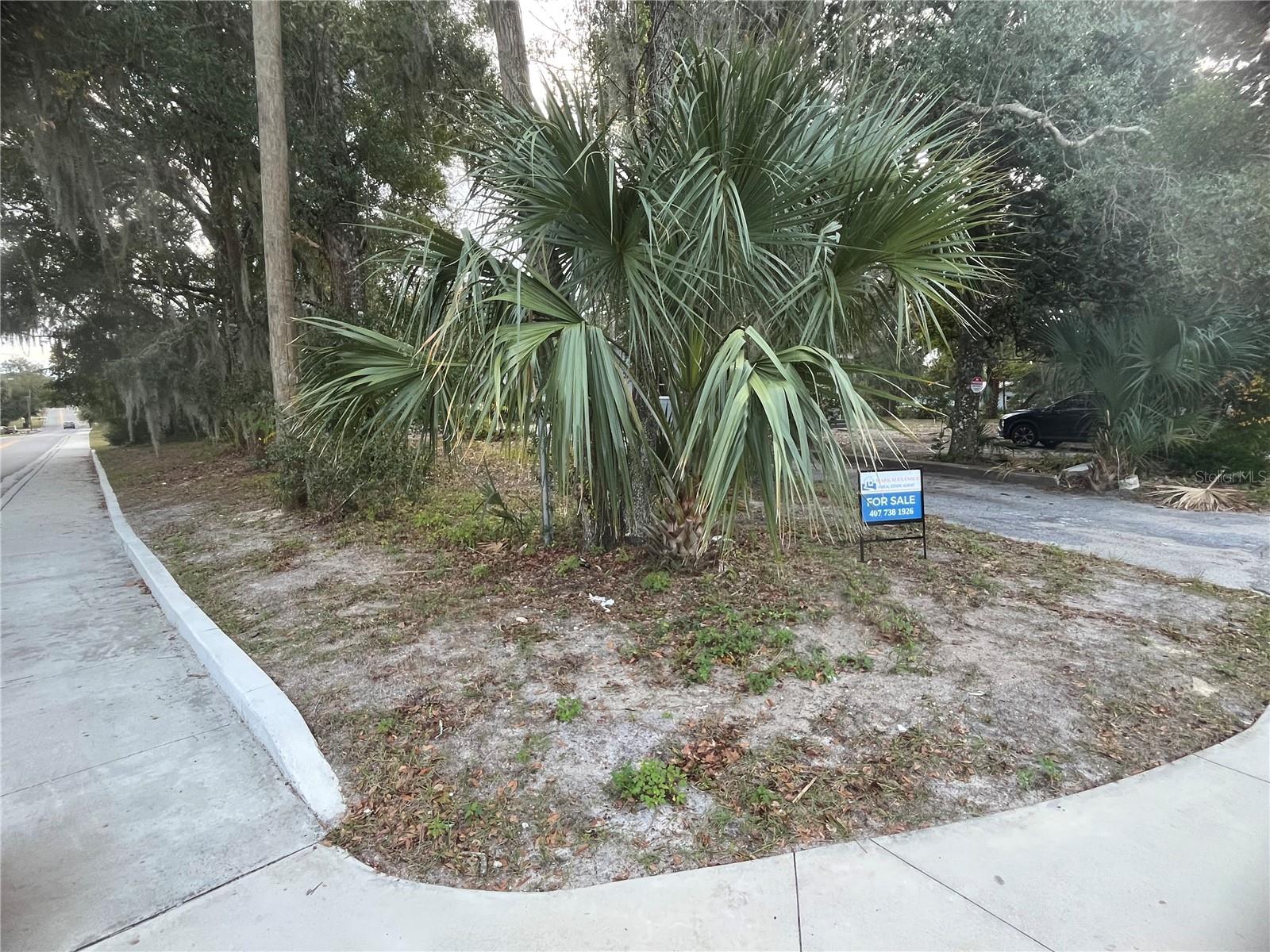 DELAND E 160 FT BLK 142 - Residential