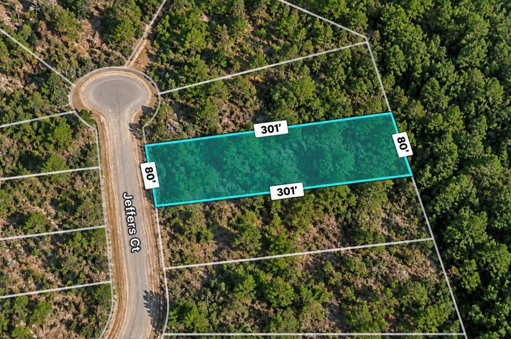 Photo of Unassaigned, Chipley, FL 32428 (MLS # TB8548455)