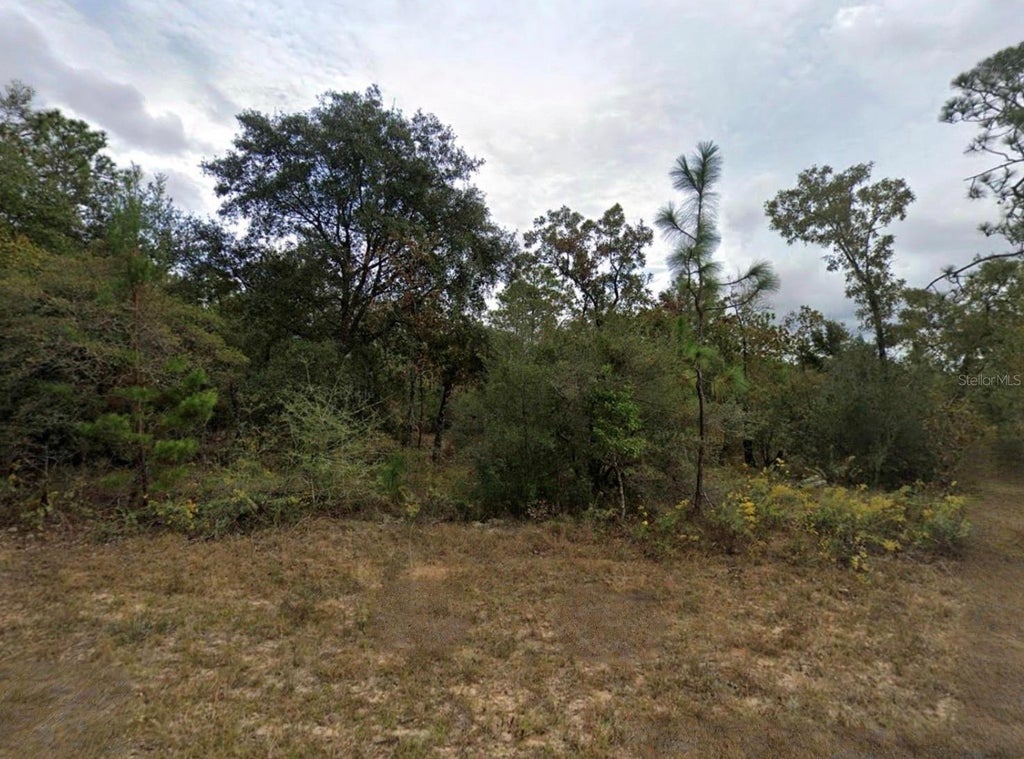 Photo of Unassaigned, Chipley, FL 32428 (MLS # TB8548455)