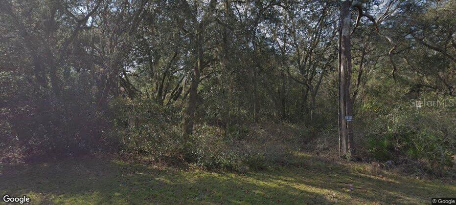 1.15 acre acre lot for sale. This site is perfect for a future dream home or as an investment. Oversized corner lot, Paved road, No HOA. Great up and coming community, especially for nature lovers and outdoor enthusiasts-- new construction is popping up, but the neighborhood is still mostly rural. All kinds of Florida wildlife abounds in the area, especially native and migratory birds. And, the community is surrounded by some of the state's best wildlife areas. Right down the street is Withlacoochee State Forest with miles of hiking/horseback/biking trails. Silver Lake Recreation Area, Richloam Wildlife area, and Green Swamp West wildlife areas are just minutes away by car. Short drive to Interstate 75; Tampa, Orlando and Florida's gorgeous beaches are all within an hour drive. Don't miss the opportunity to own your own piece of paradise.
Residential Buildable 1.1553-Acre Lot in the Country – Webster, Florida
Discover the charm of rural living with this spacious 1.15-acre residential lot nestled in the peaceful countryside near the quaint town of Webster, Florida. This beautiful parcel offers the perfect blend of privacy and open space, ideal for building your dream home, or investing for future development.
Home of several Flee Markets..
Key Features:
Zoned for residential use.
Flat, buildable land with plenty of room for a house, garden, and more.
Peaceful country surroundings with easy access to local amenities.
Just minutes from Webster’s local markets and historic town center.
Convenient access to major roads leading to Tampa, Orlando, and Ocala, Nature Coast, did I say Mermaids? Yes I did, Weeki Wachee.