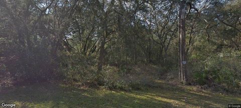 7129 RICKER AVENUE WEBSTER FL 33597