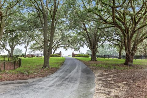 Tiny photo for 19271 SE 52nd Place, Morriston, FL 32668 (MLS # OM692542)