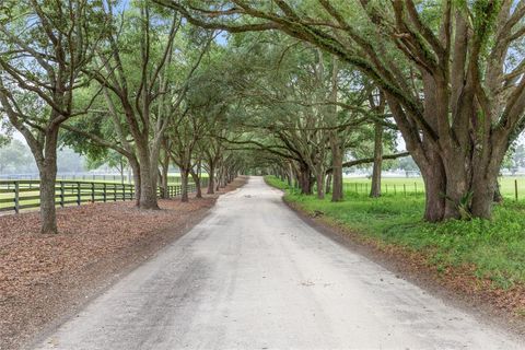 Tiny photo for 19271 SE 52nd Place, Morriston, FL 32668 (MLS # OM692542)