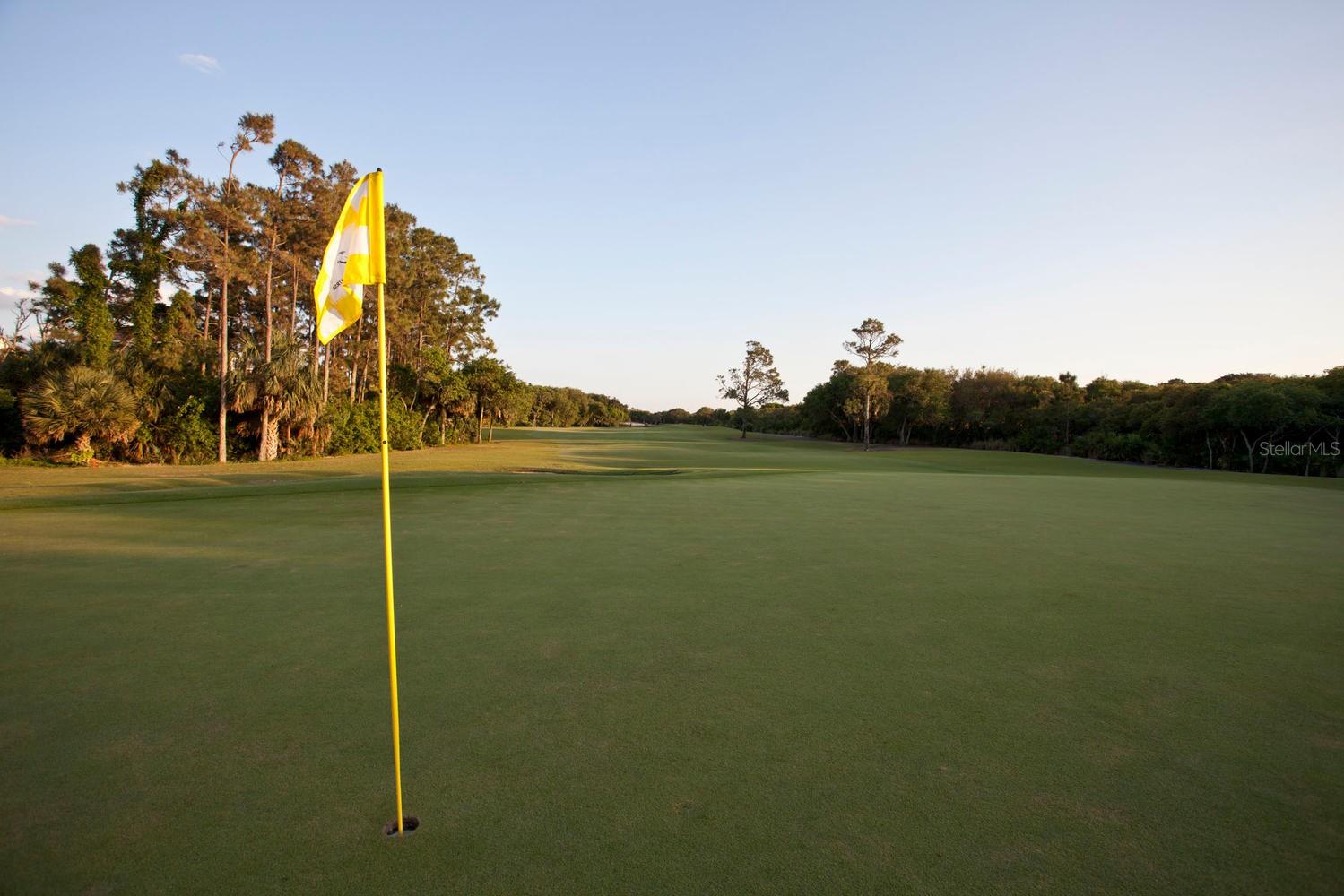 OCEAN TOWERS/HAMMOCK BEACH - Residential