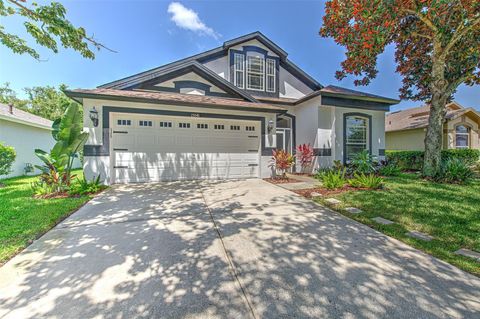 15541 MARTINMEADOW DRIVE LITHIA FL 33547