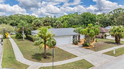 3230 PLAYER DRIVE NEW PORT RICHEY FL 34655