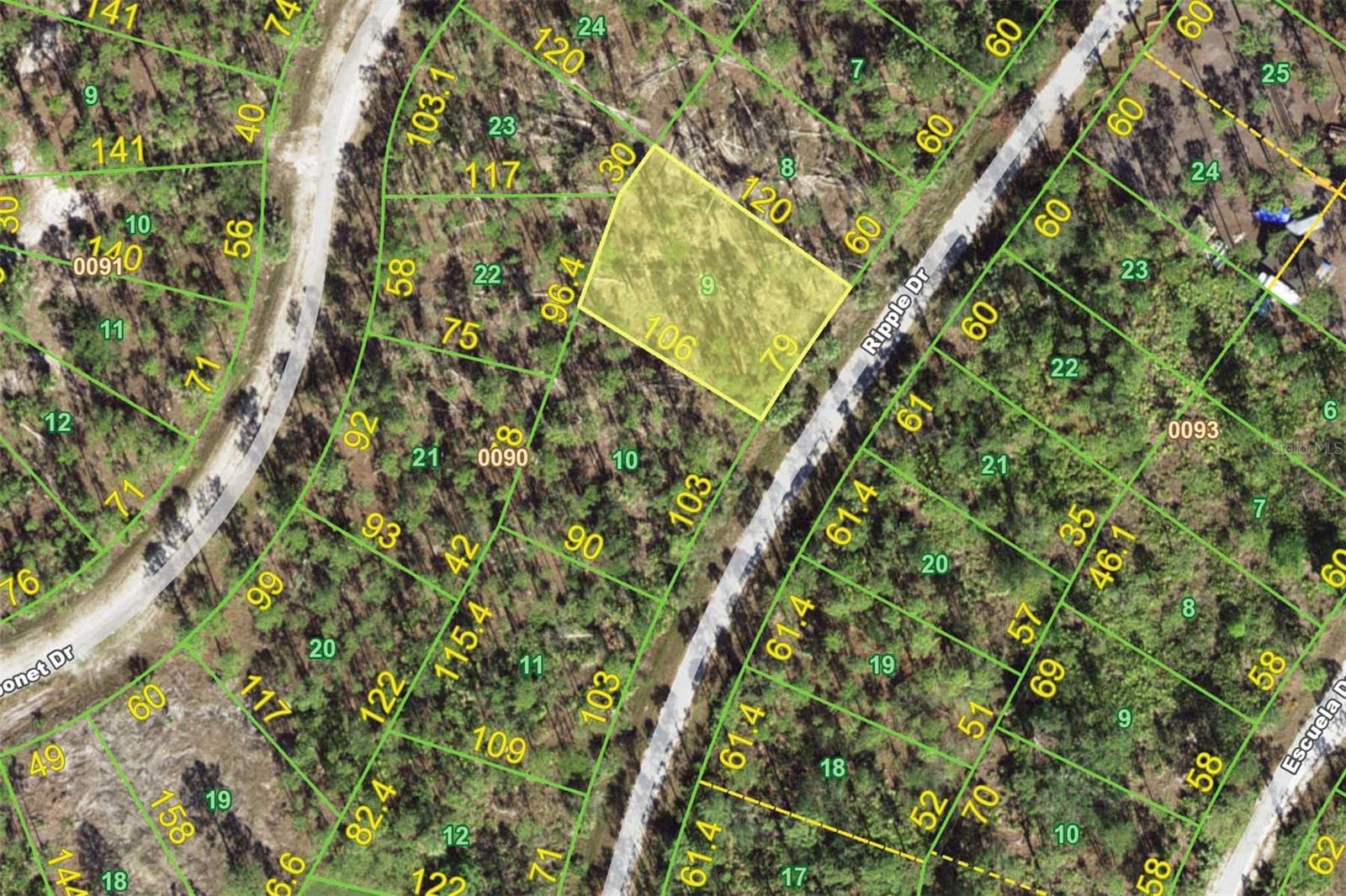 VACANT LOT IN TROPICAL GULF ACRES - TGA is a growing community nestled between Fort Myers, Cape Coral & Punta Gorda. It's the perfect spot to build your dream home - NO HOA or deed restrictions here. Or, buy it as an investment & keep it in your portfolio as the area around it grows & develops. Lot dimensions are 79x106x88x120. Enjoy a quiet, wooded setting away from the bustle of more developed neighborhoods yet maintain easy access to US41, I-75 & Burnt Store Rd. Build your dream home now or hold as an addition to your investment portfolio.