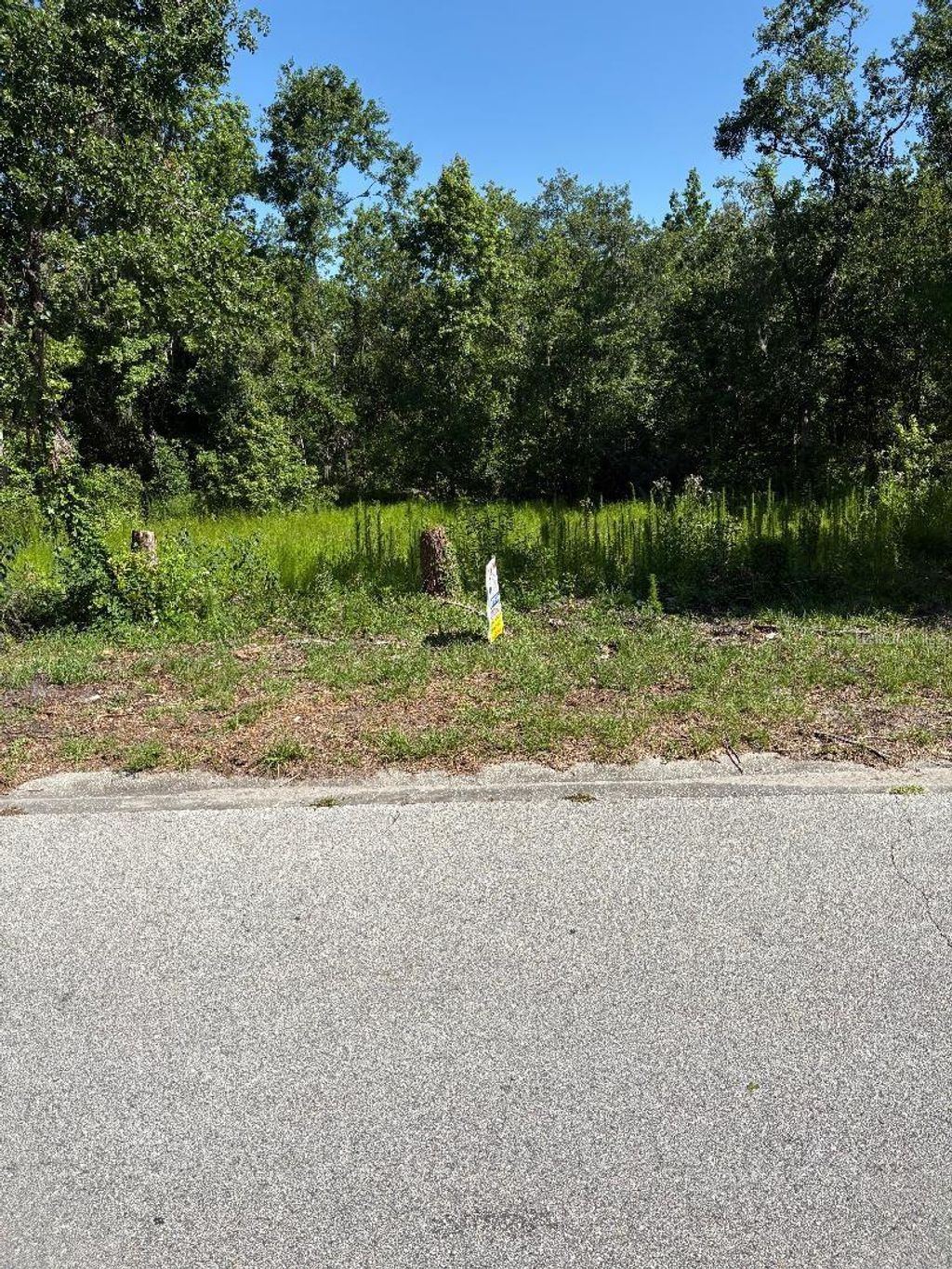 Photo of 15 Lake Hills Drive, Riverview, FL 33578 (MLS # TB8389346)