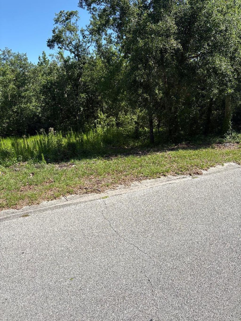 Photo of 15 Lake Hills Drive, Riverview, FL 33578 (MLS # TB8389346)