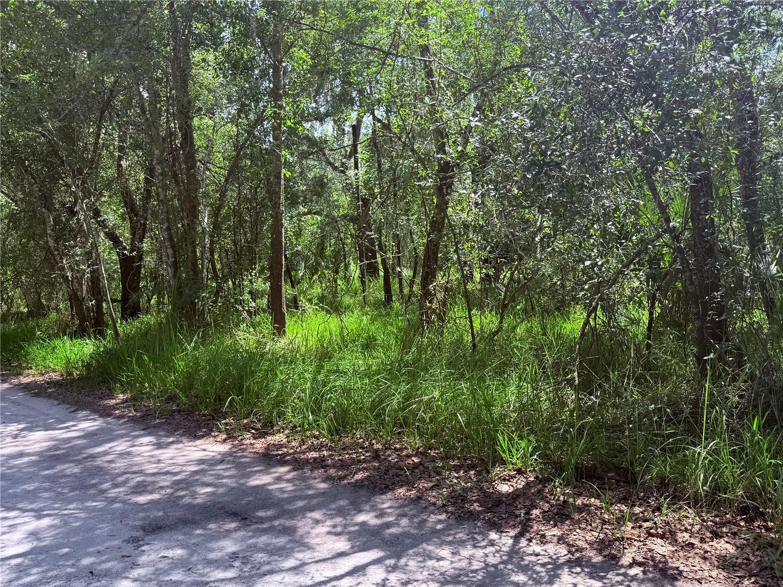 NE RIVER RIDGE AVENUE