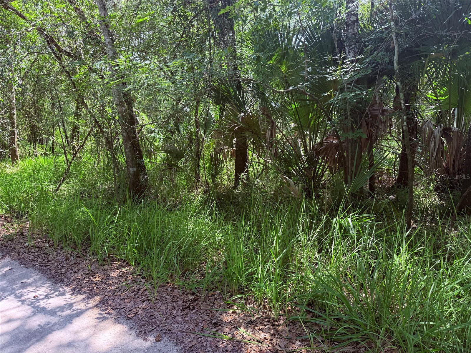 NE RIVER RIDGE AVENUE
