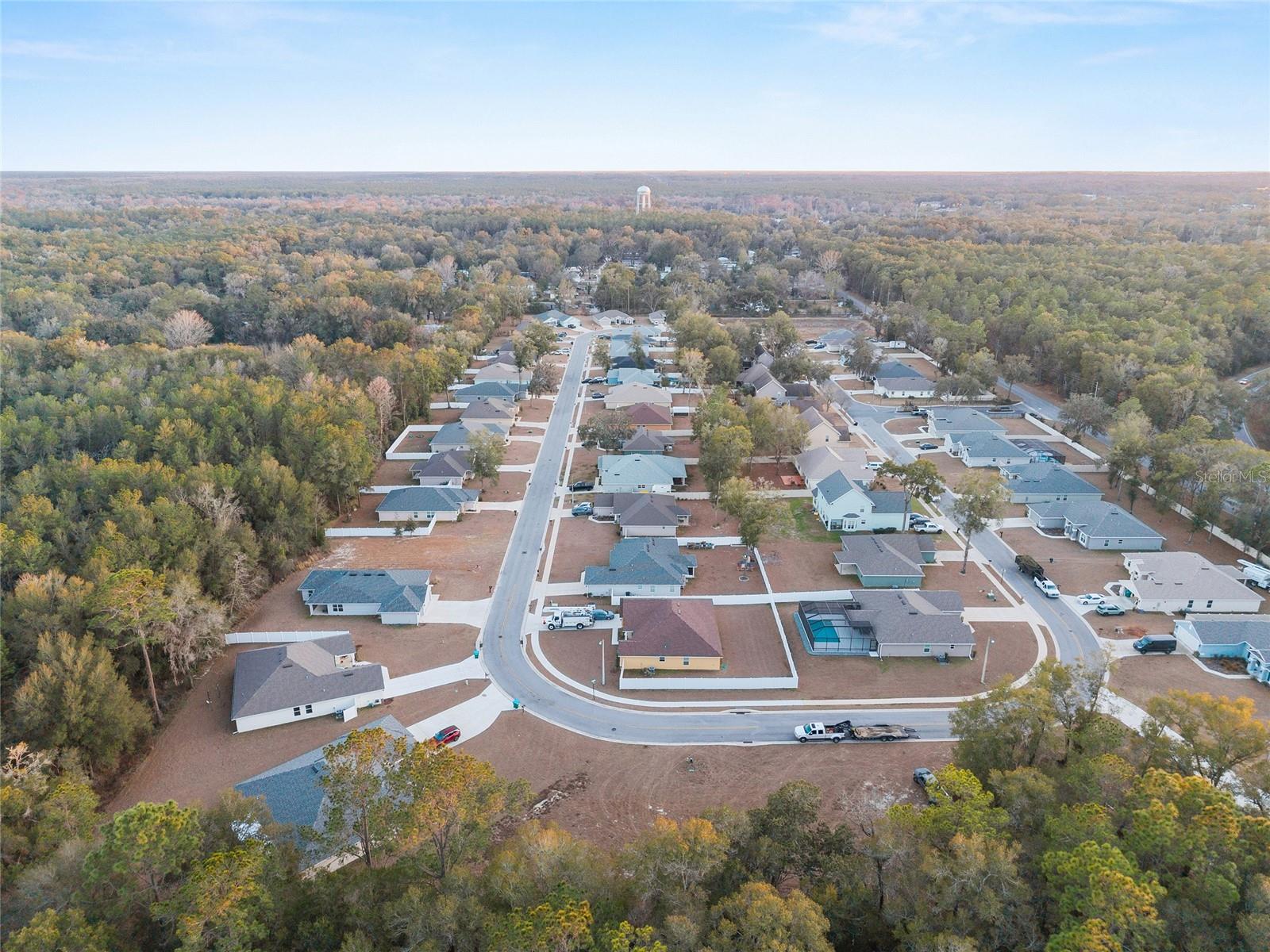 SILVER RUN FOREST - Land