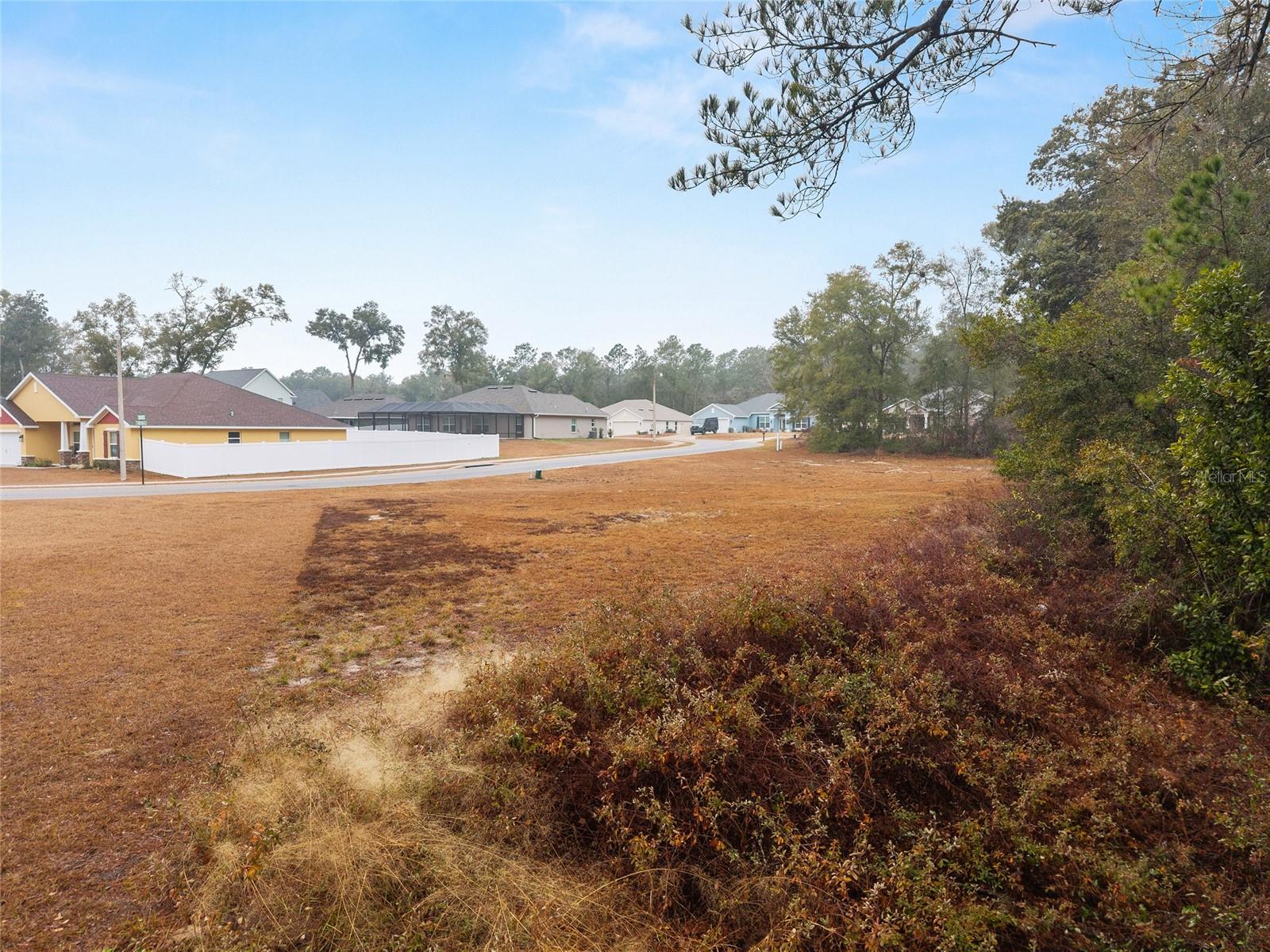 SILVER RUN FOREST - Land