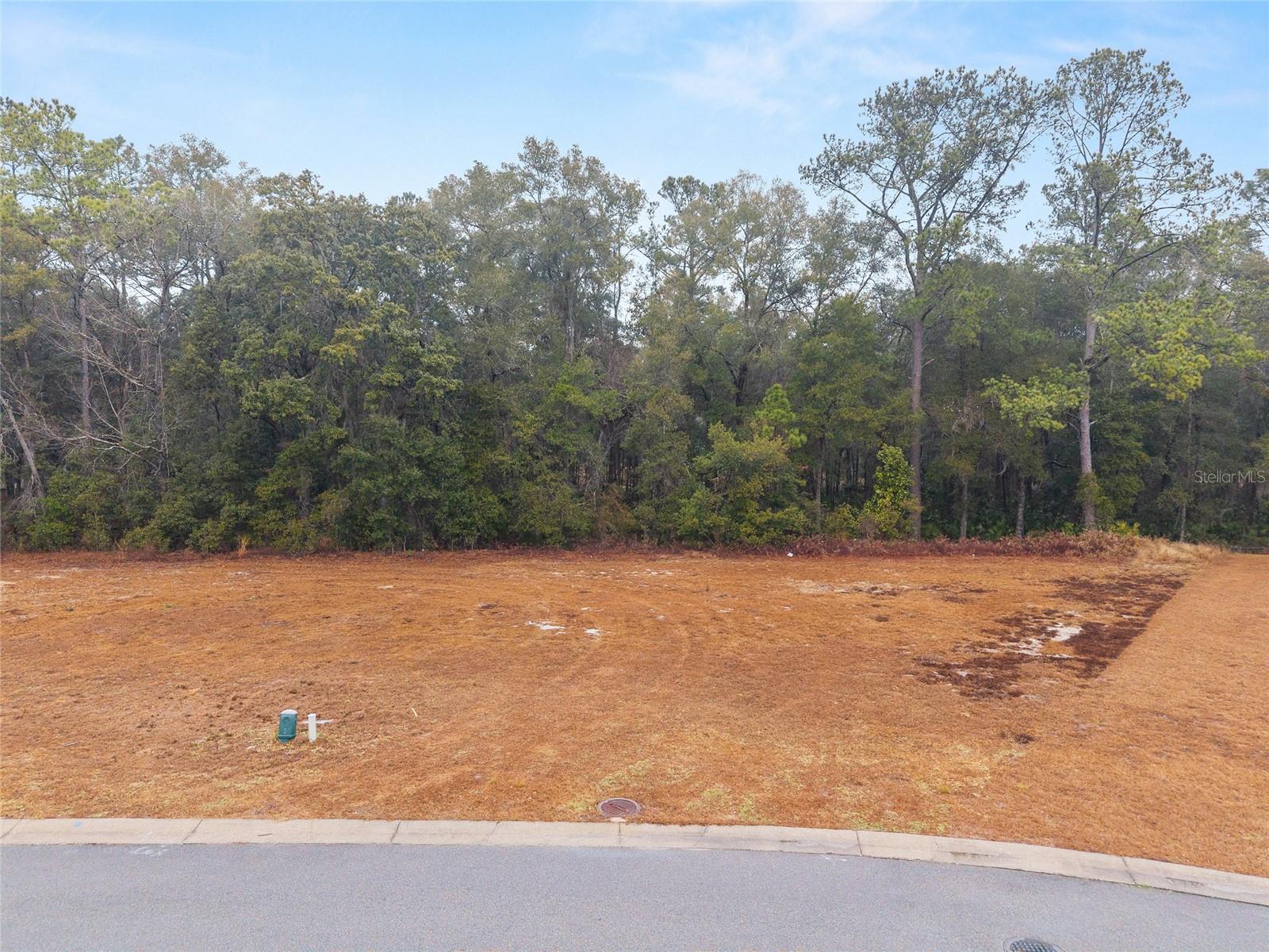 SILVER RUN FOREST - Land